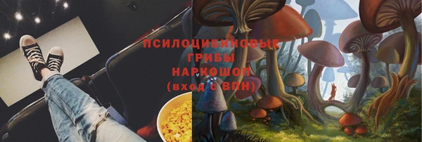 стаф Богородск
