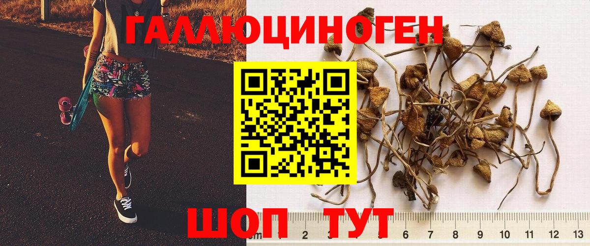Галлюциногенные грибы прущие грибы  Вход с VPN  Луховицы 